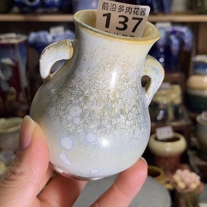 狼盆内口径4高度8