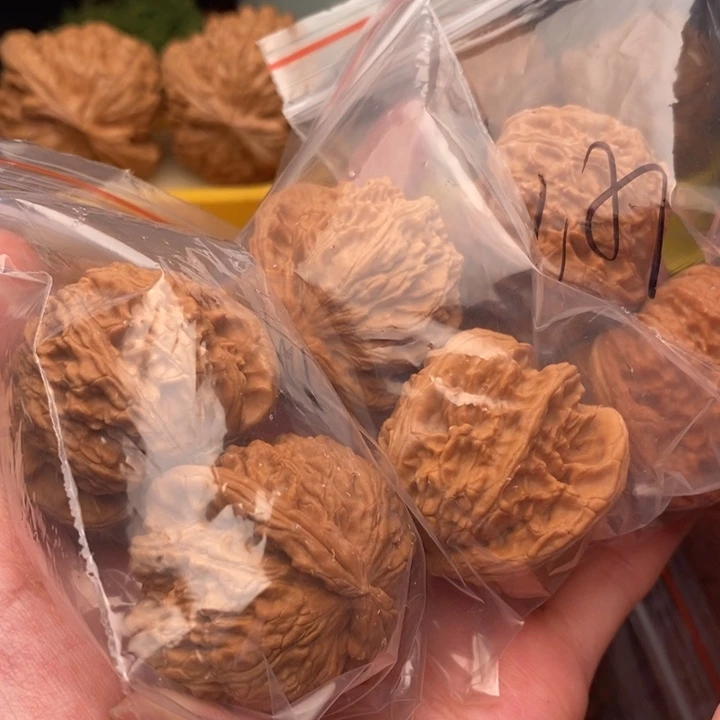 文玩核桃把件白狮41