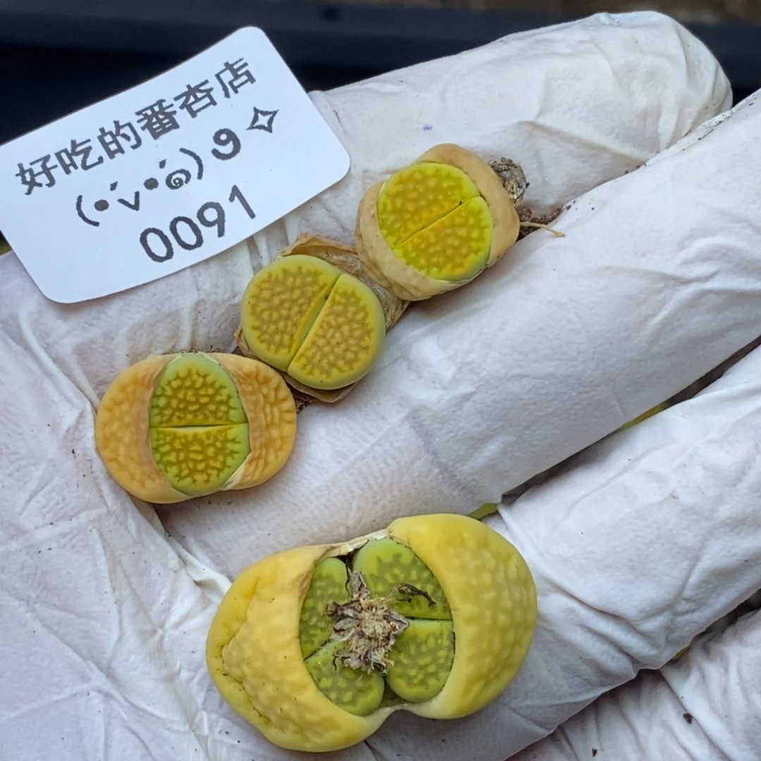 无****?0091零下拍保温.18包邮.当天凑哦