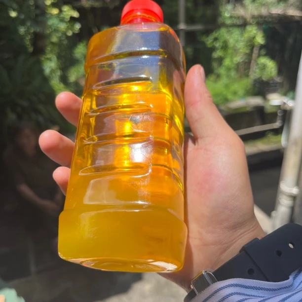 【大个山货】云南高山红花油茶