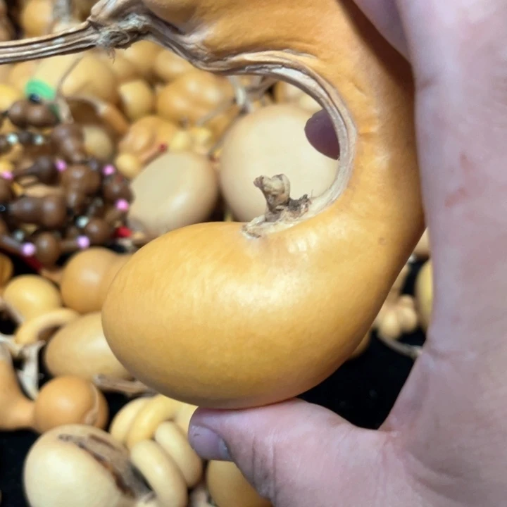 牧*蜗牛腰线和蜗牛肩部有