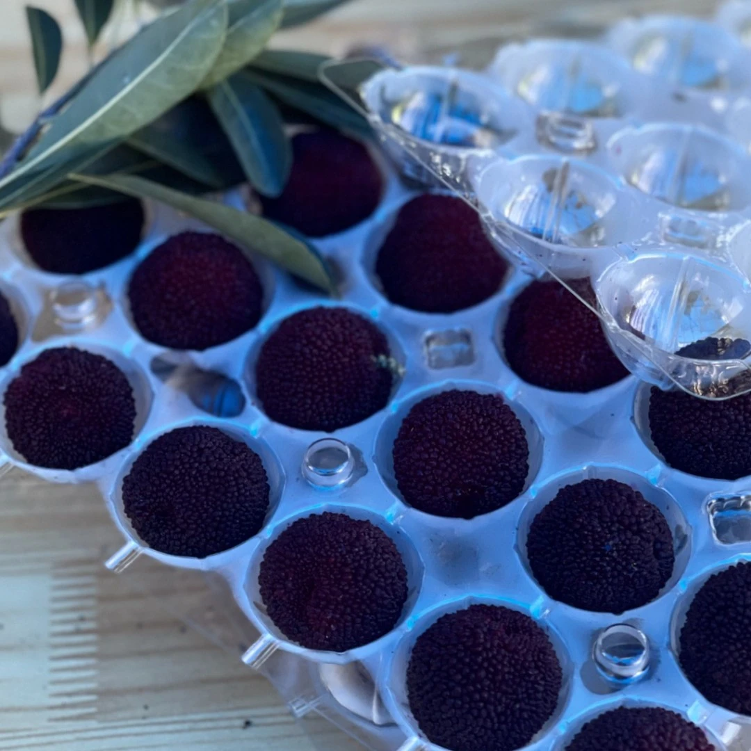 仙居真空冷链顶级品质精装坏果精装坏果正宗新鲜杨梅