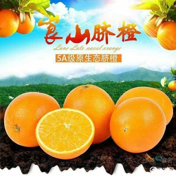 正宗湖南崀山脐橙果园直发新鲜多汁当季水果（顺丰包邮)小明哥专属
