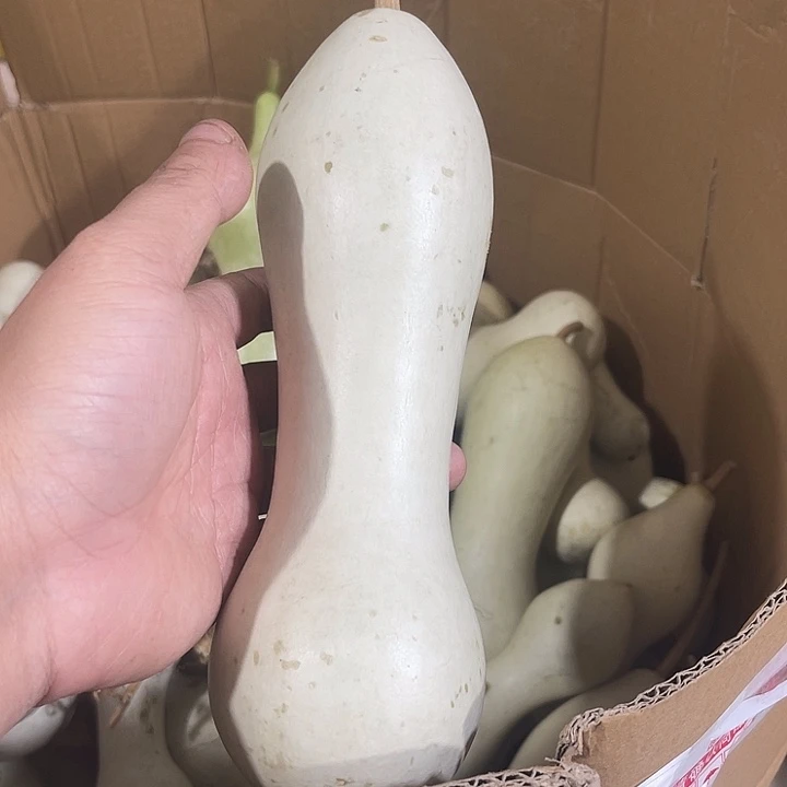 非洲紫檀（红花梨）隔****哥