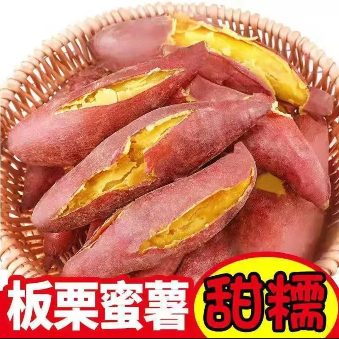 陕西新鲜现挖板栗红薯张维伊回应恶评蜜薯