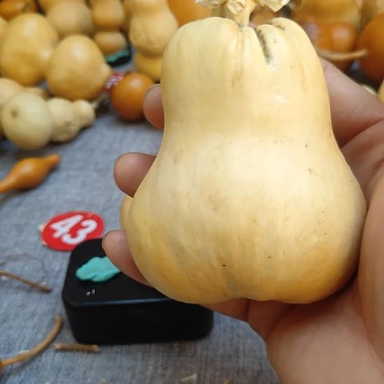 玛***卡葫芦娃娃娃娃娃娃娃娃娃娃娃娃娃