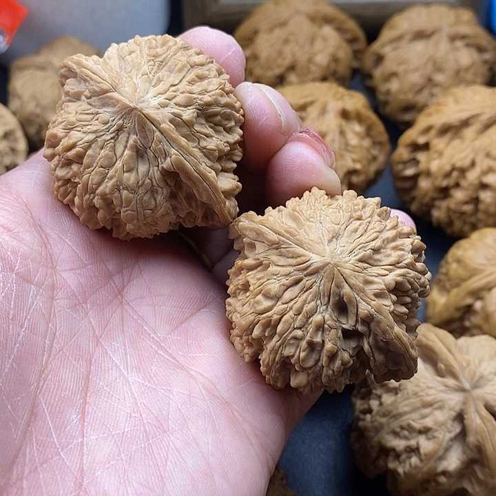 吊坠龙脊菩提满天星45