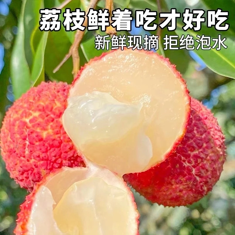 【顺丰/京东空运】正宗海南澄迈无核荔枝新鲜应季水果产地直发