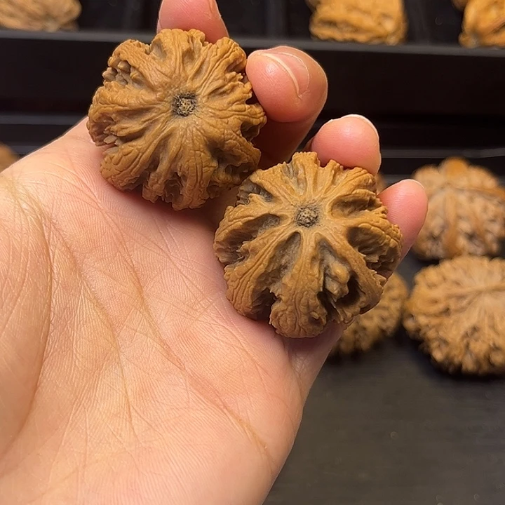 核桃秦岭突突突突突突15