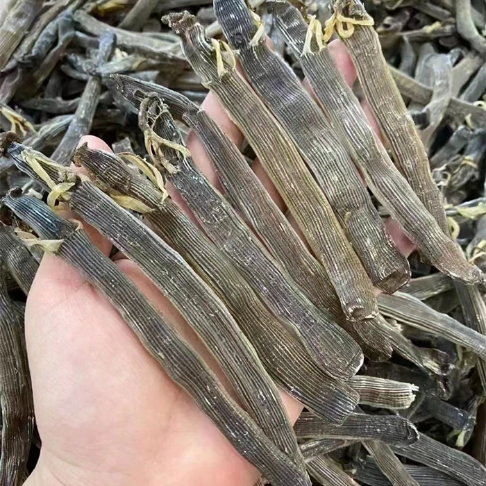【珠海升仔】 本港黑沙虫干 新货沙虫 小孩子煲粥煲汤