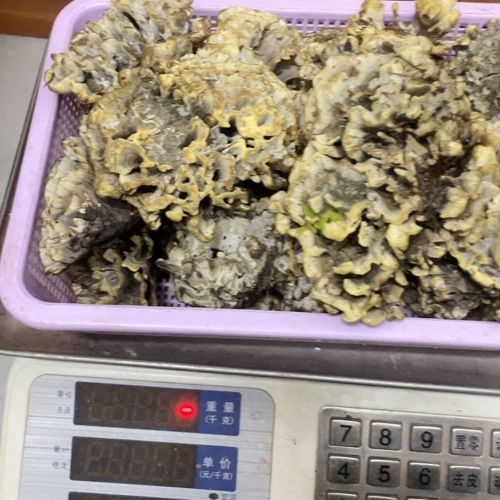 随***3干巴菌超好吃中国大陆
