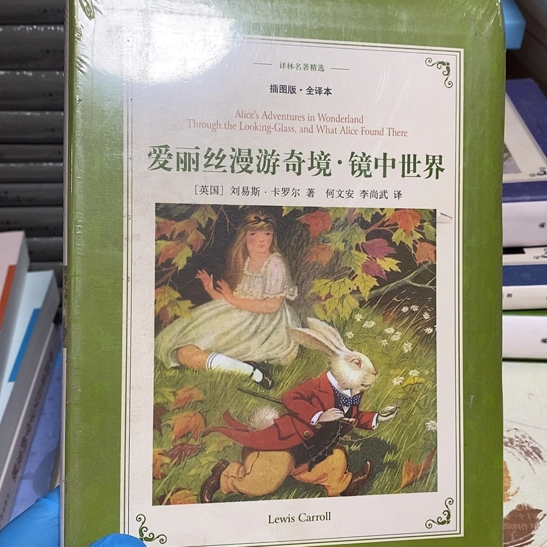 爱丽丝漫游奇境……………………