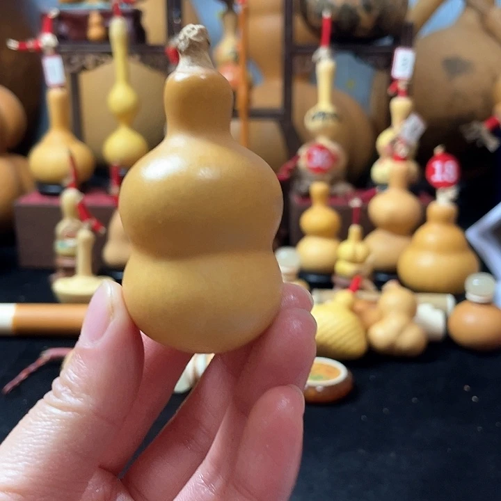 L*e葫芦丝老师去往别人家走