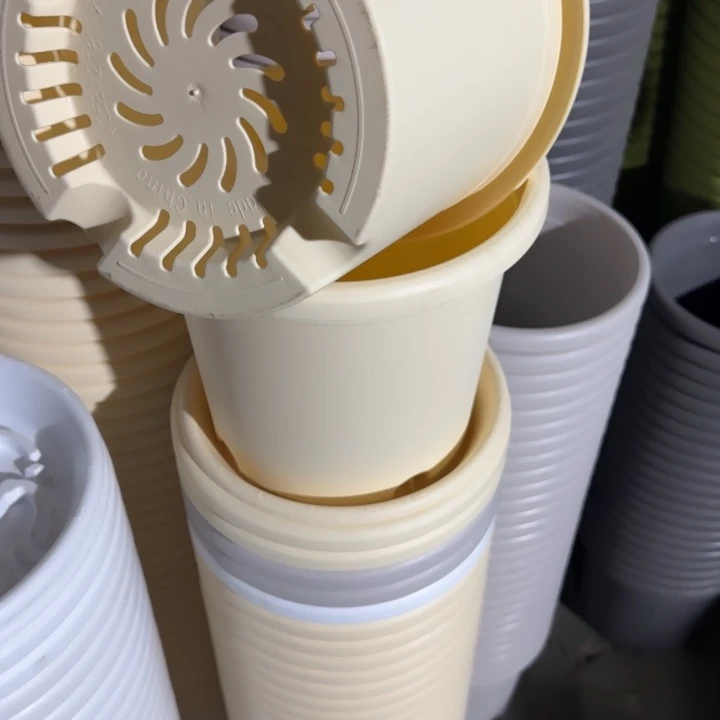 四季3号10盘10个托盘米黄色的