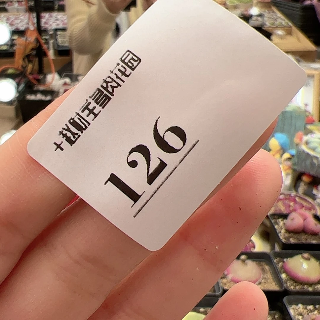 【闪购商品】?****?126 打包