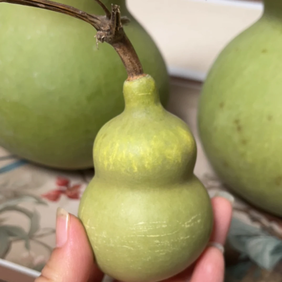 胖墩八宝葫芦带财包