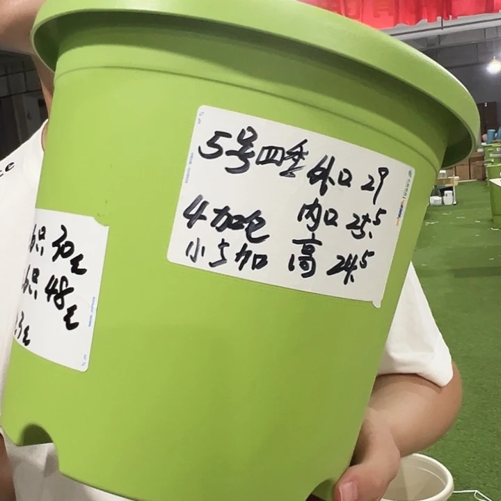 特价5号口29高24.5米色无托6只