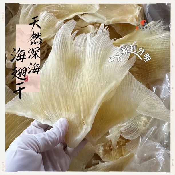 深海浦鱼刺 大号海翅干 海狗刺 天星刺 软骨翅 煲汤食材海产干货
