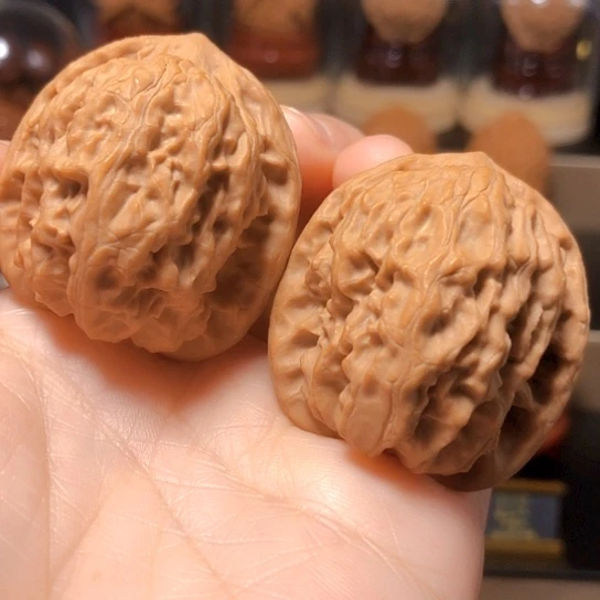 油蜡皮：野狼全品