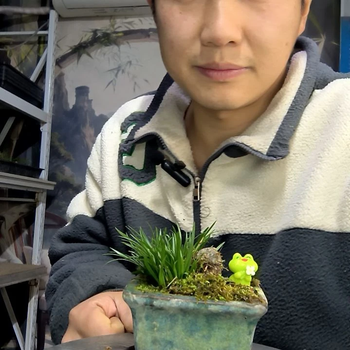 向***看中青园艺一物一拍花403
