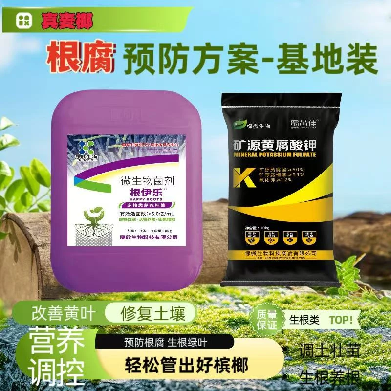 预防槟榔根腐改土生根改善黄叶养根护根