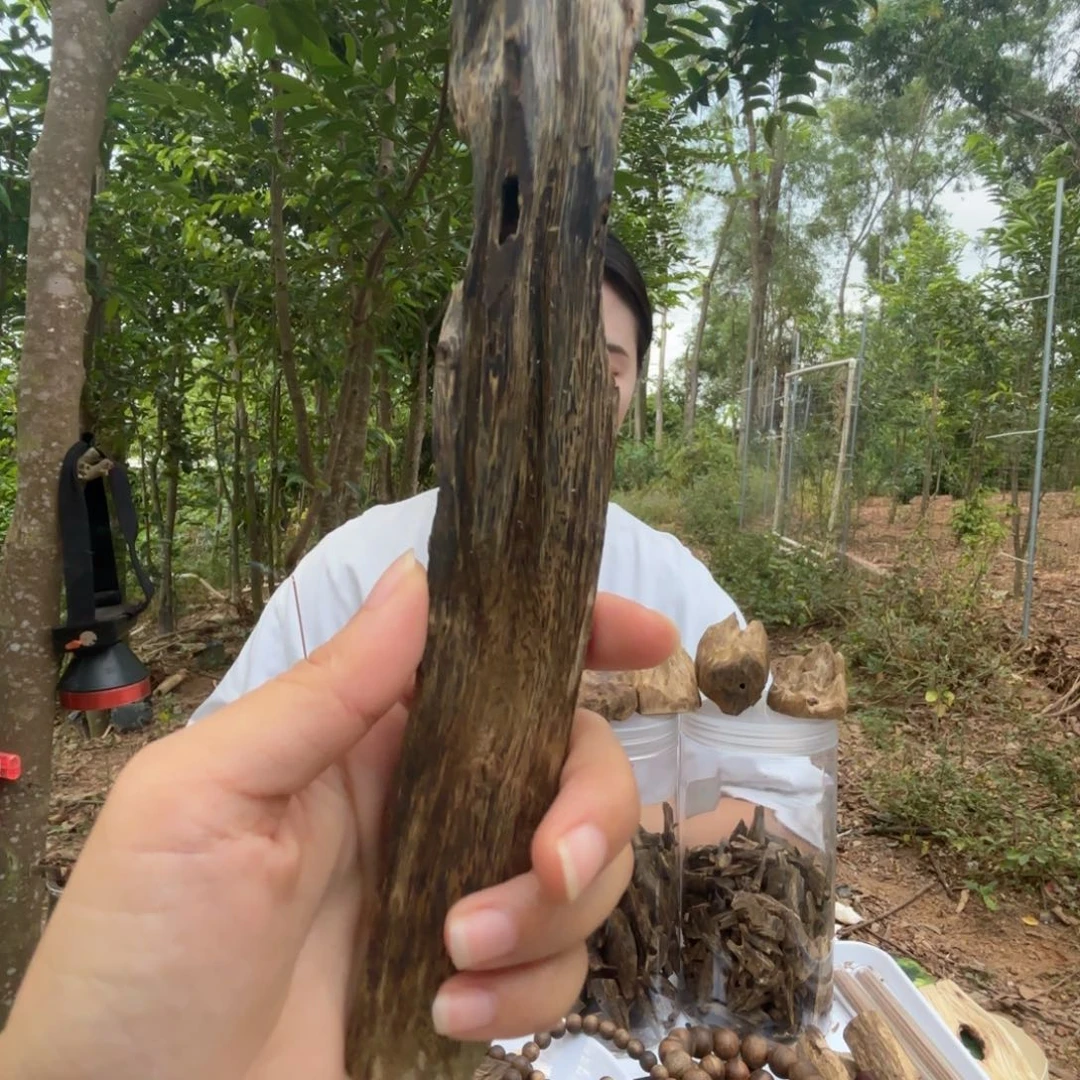 熏香虫漏高油脂44克