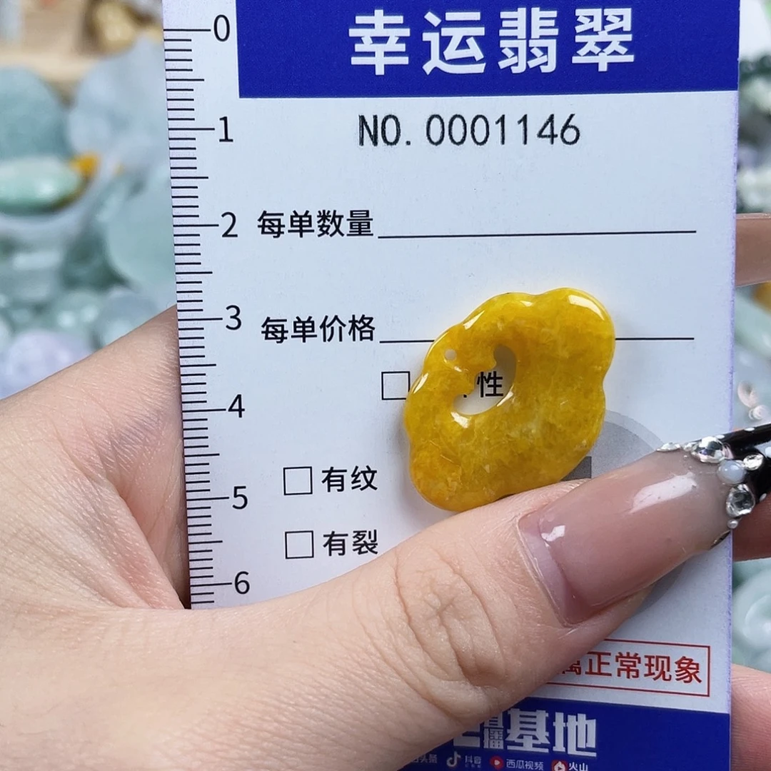翡翠未镶嵌颈饰hh