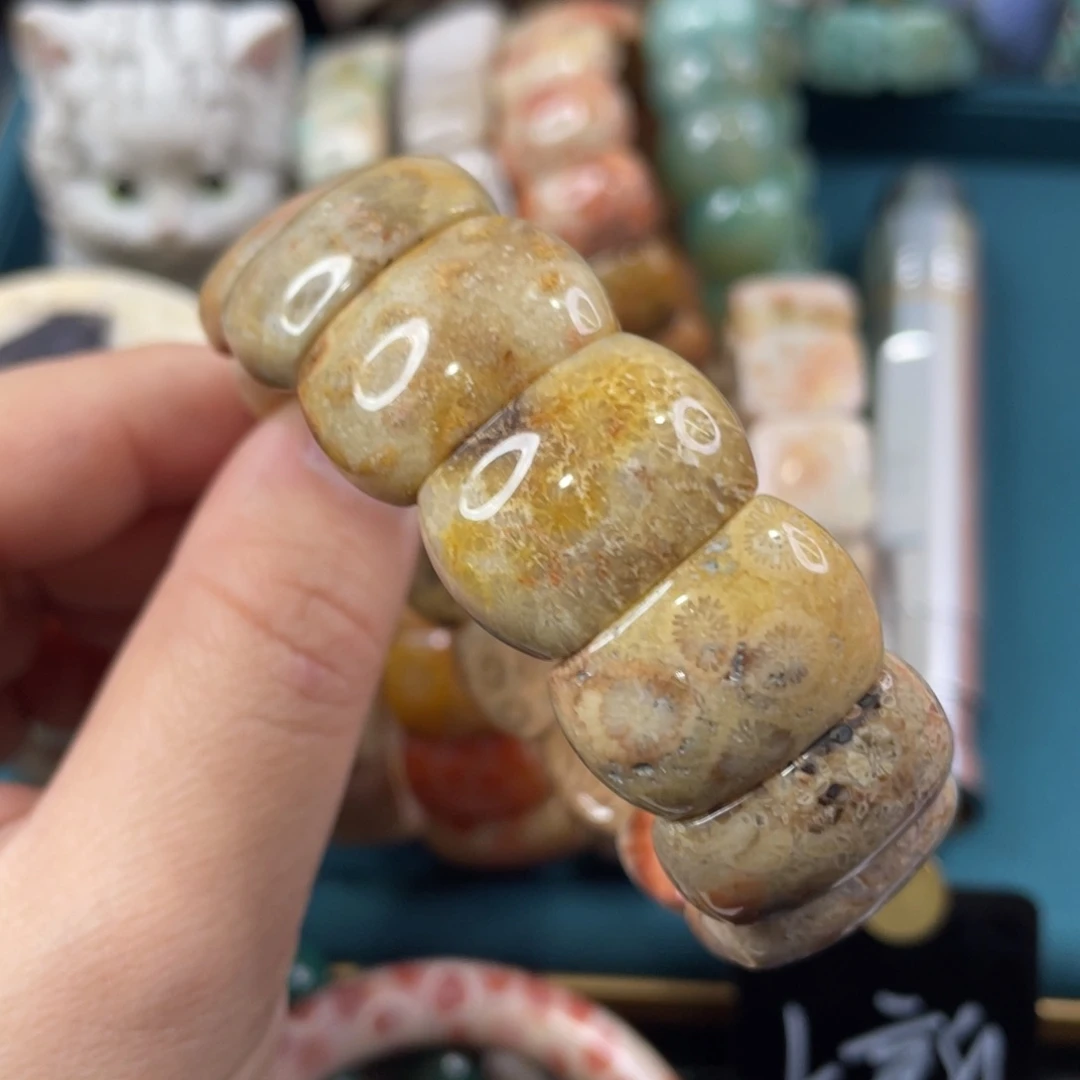 未镶嵌手镯硅化玉