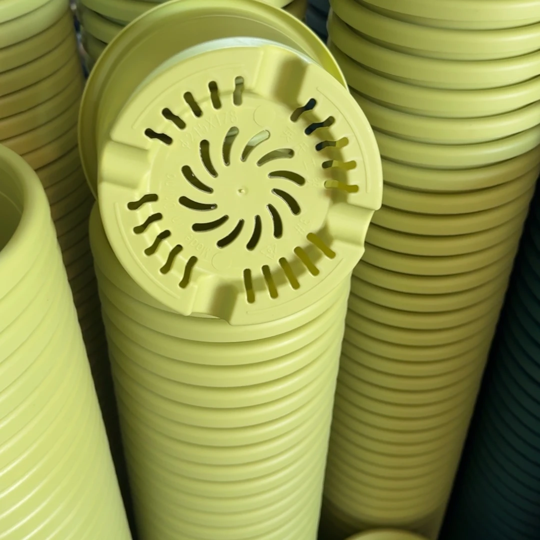 四季3号4个果绿色的