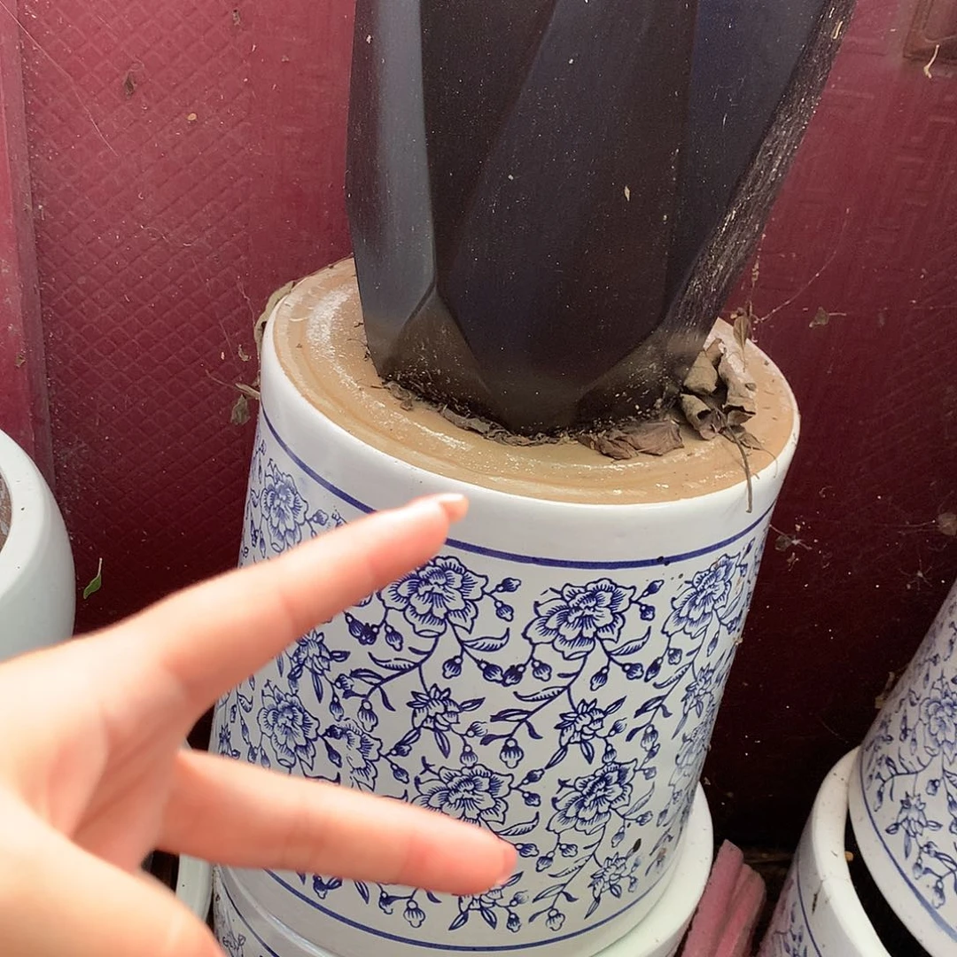 高温陶瓷微瑕系列