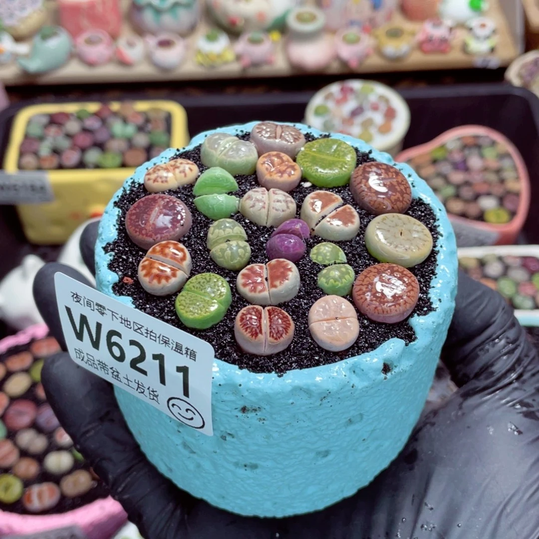 夜间零下地区拍保温箱w6211