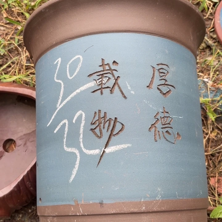 紫砂花盆紫砂的花