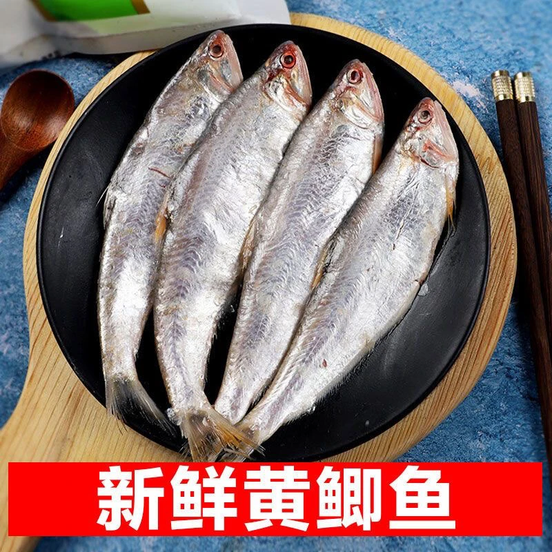 新鲜黄鲫鱼 深海野生海鱼 适合油煎