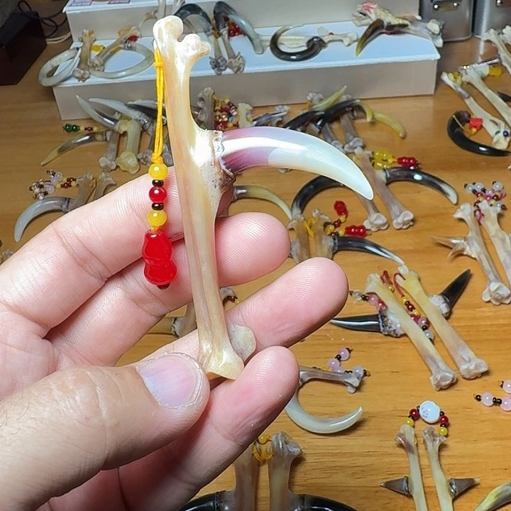 本***子其他鸡骨（鸡脚）单只白红炫彩鸡爪骨