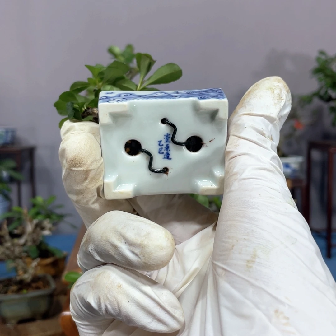 北***拳无花朵壹景盆收回盆