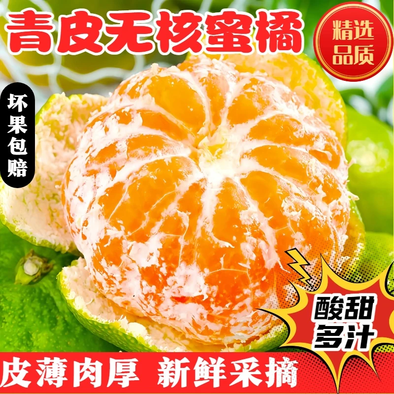 【新鲜】蜜橘青皮无籽皮薄肉厚酸甜多汁当季现摘孕妇水果产地直发