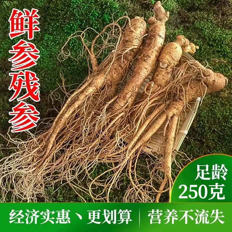 新开岭【二级新鲜人参】 6-8支一斤装 微残鲜人参 送种子送刷子
