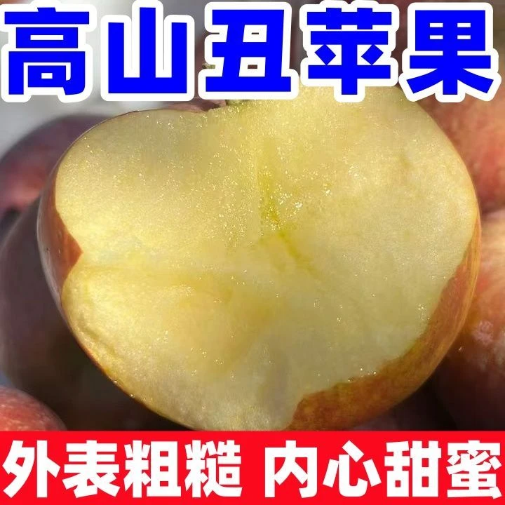 丑苹果新鲜现摘脆甜多汁肉厚营养好吃