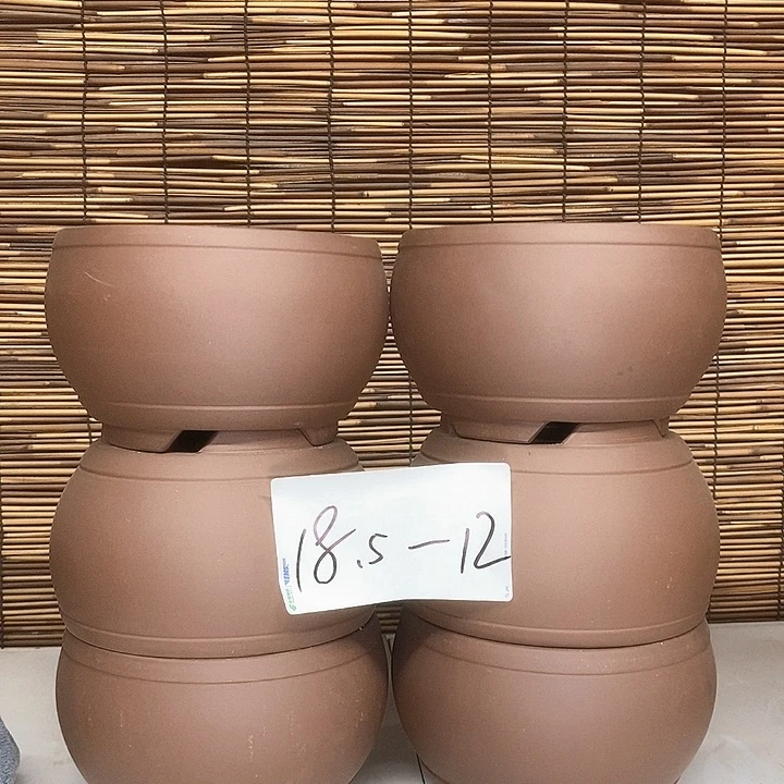 紫砂花盆我在外面