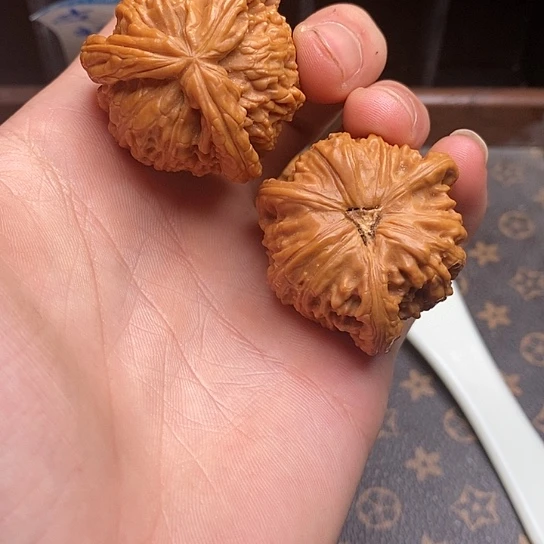 慢****生白狮11111111111111