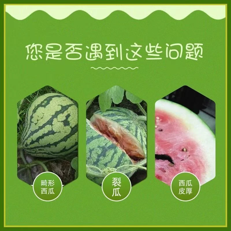 西瓜专用坐果灵授粉神器提高坐果率阴天不影响座果率起果迅速