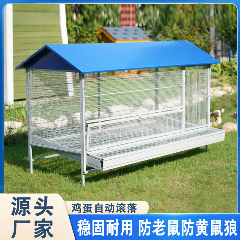 室外尖顶鸡笼自动收蛋笼防偷吃加密网孔防黄鼠狼老鼠不生锈养殖笼