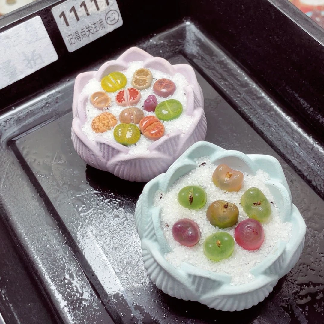 w111111一份两盆量拍