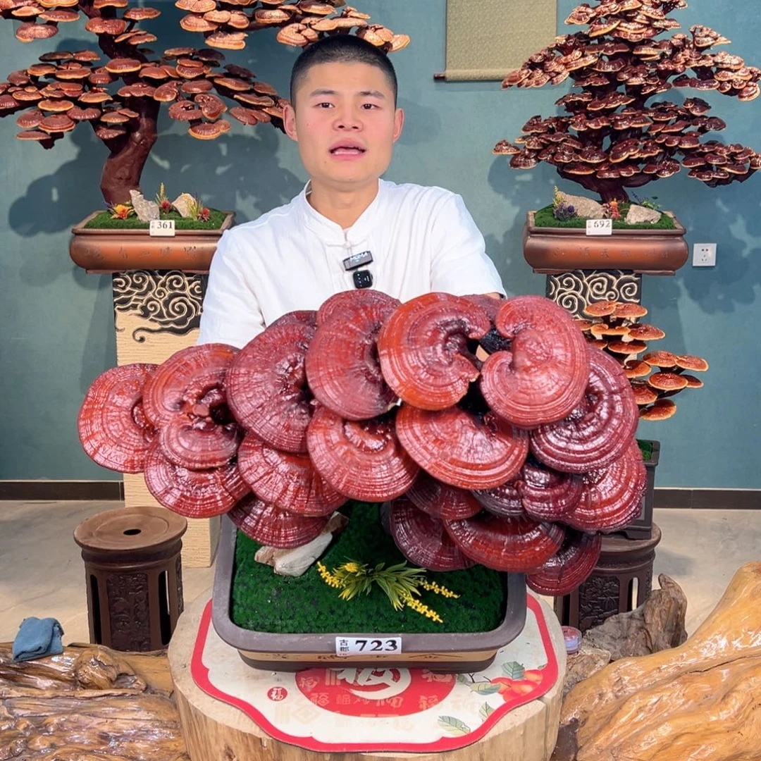 无花朵888888888888