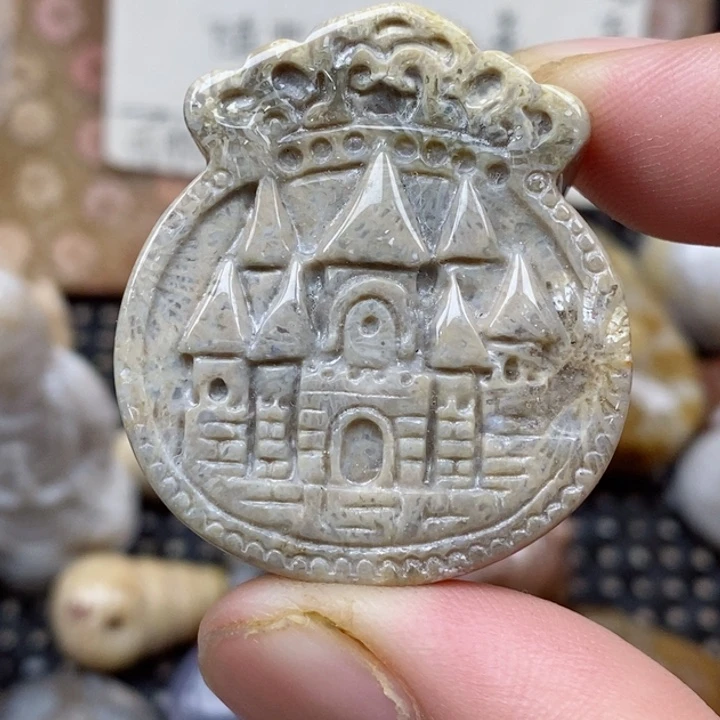 硅化珊瑚（珊瑚玉）未镶嵌颈饰小
