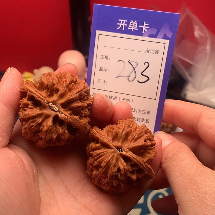 核桃44大花 283。