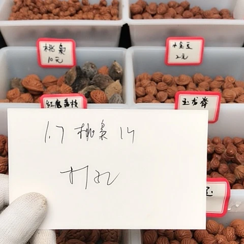 桃核吊坠@****璃龙纹桃核的搭配