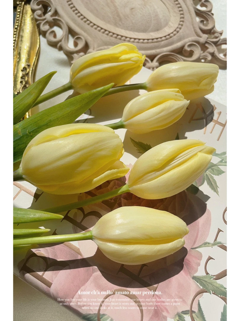 阳光骄傲郁金香-会变色水培鲜花带包装醒花每天剪根