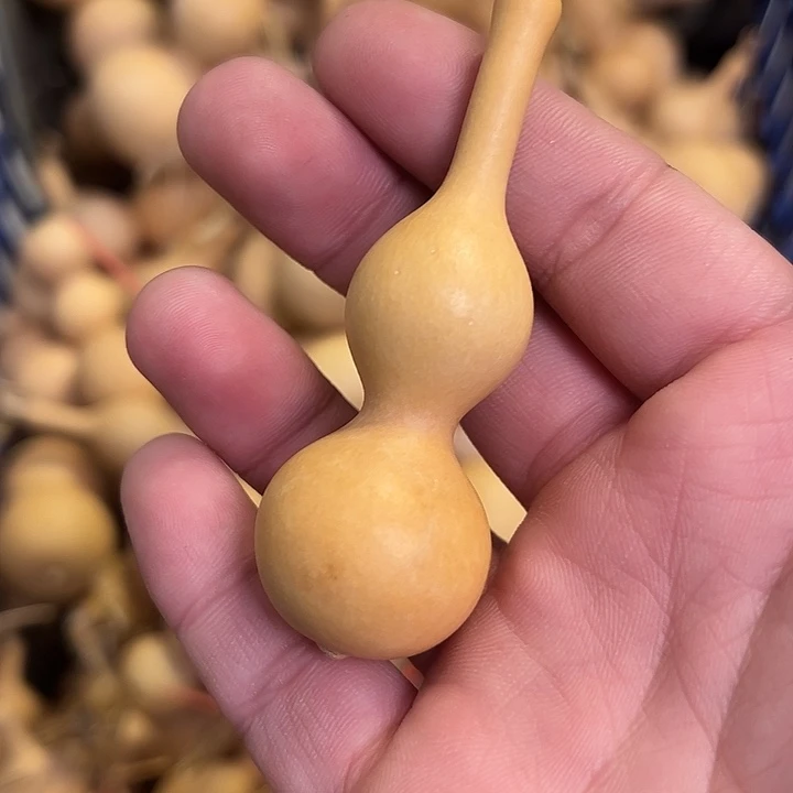 葫***哥有机玻璃蚂蚁蚂蚁蚂蚁蚂蚁