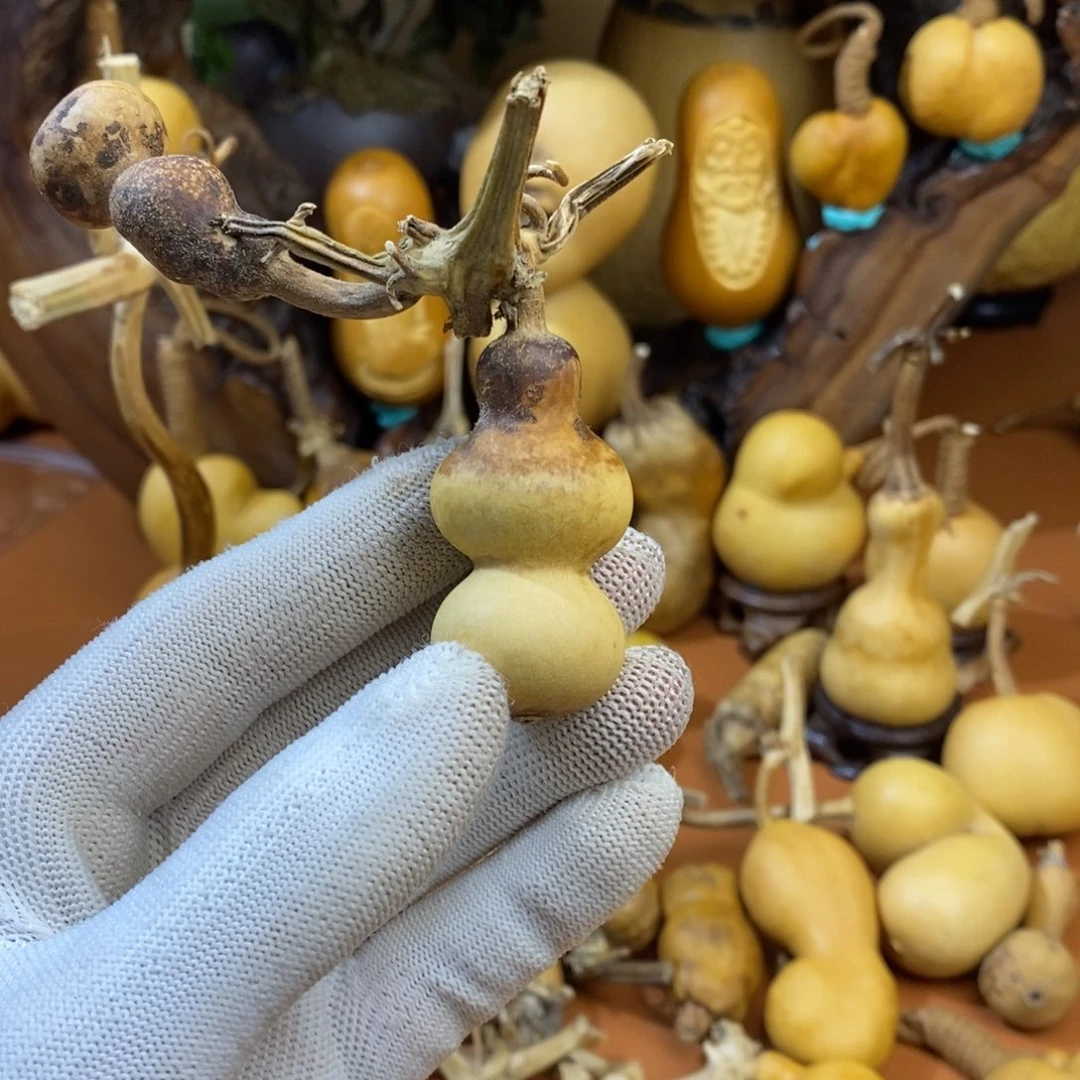 Z***Y教练咯教练咯考虑